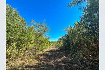 6 & 7 County Road 3121, Long Branch, TX 75669 - Photo 7