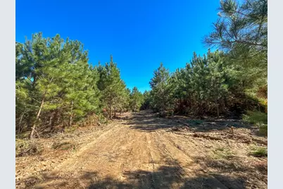 6 & 7 County Road 3121, Long Branch, TX 75669 - Photo 11