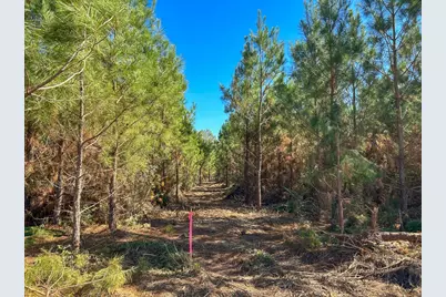 6 & 7 County Road 3121, Long Branch, TX 75669 - Photo 13