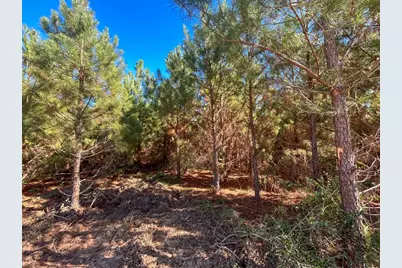 6 & 7 County Road 3121, Long Branch, TX 75669 - Photo 9