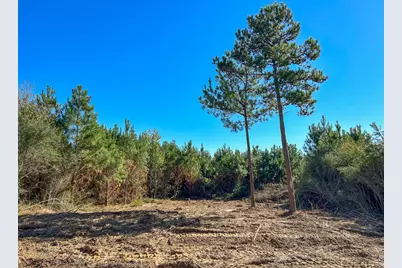 6 & 7 County Road 3121, Long Branch, TX 75669 - Photo 5