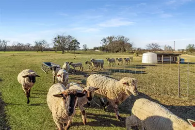 10166 Fm 3094, Scurry, TX 75158 - Photo 39