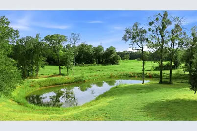 12044 Highway 14, Richland, TX 76681 - Photo 3
