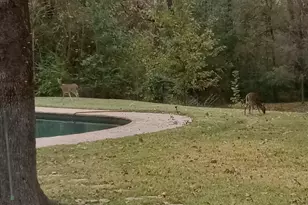 1433 Bowie Cir, Corsicana, TX 75110 - Photo 39