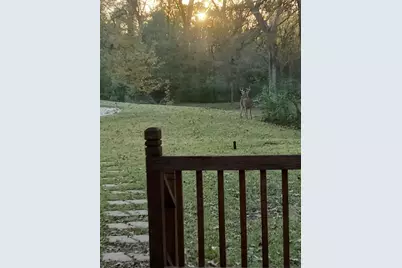 1433 Bowie Circle, Corsicana, TX 75110 - Photo 37