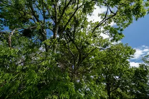 108 Williams St, Terrell, TX 75160 - Photo 1