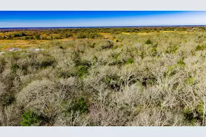 12200 Cr 2404, Seven Points, TX 75143 - Photo 3