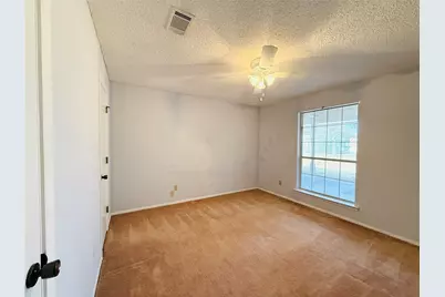 155 Sunset Drive, Murphy, TX 75094 - Photo 25