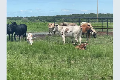 4565 County Road 140, Stephenville, TX 76401 - Photo 5