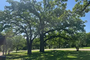 214 Hemphill St, Hico, TX 76457 - Photo 13