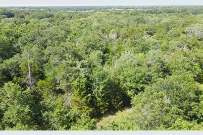 12975 Cr-316, Terrell, TX 75161 - Photo 9