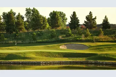 2528 Oyster Bay Drive, Frisco, TX 75036 - Photo 29