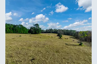 0 An County Road 153, Palestine, TX 75801 - Photo 5