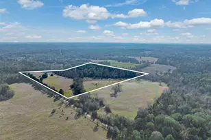 0 An County Road 153, Palestine, TX 75801 - Photo 1