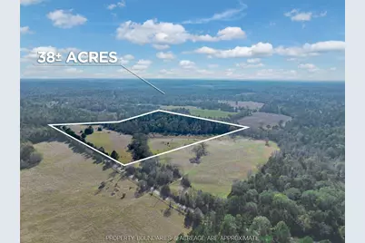 0 An County Road 153, Palestine, TX 75801 - Photo 1