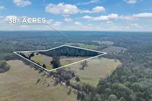 0 An County Road 153, Palestine, TX 75801 - Photo 1