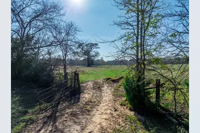 0 An County Road 153, Palestine, TX 75801 - Photo 3