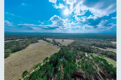 0 An County Road 153, Palestine, TX 75801 - Photo 11