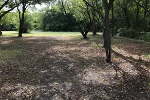 4441 Trippie St, Lancaster, TX 75134 - Photo 3