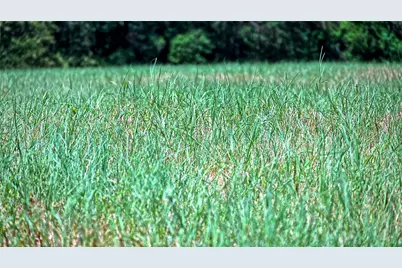 Tbd Tract 2 Smyrna Road, Sunset, TX 76270 - Photo 13