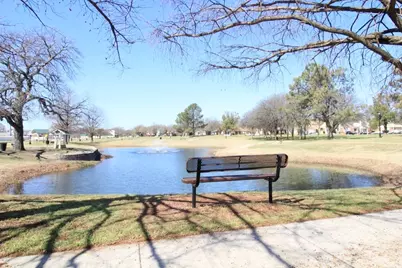 314 Pool Street, Cedar Hill, TX 75104 - Photo 25