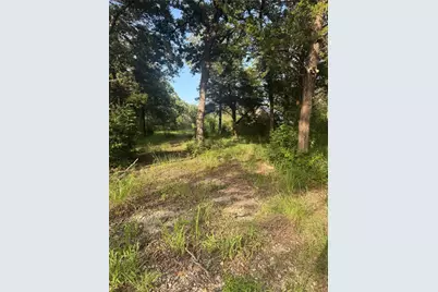 335 Fm 80, Teague, TX 75860 - Photo 5