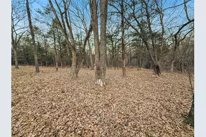 344 Rs County Road 4254, Point, TX 75472 - Photo 17