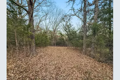 290 Rs County Road 4254, Point, TX 75472 - Photo 15