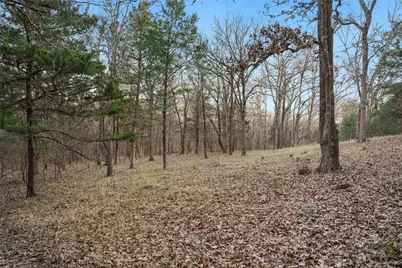 290 Rs County Road 4254, Point, TX 75472 - Photo 11