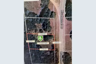 19022 Bluebonnet Drive, Whitney, TX 76692 - Photo 3