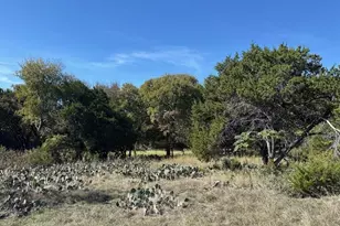 19022 Bluebonnet Dr, Whitney, TX 76692 - Photo 1