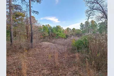 Tbd County Road 2920, Hughes Springs, TX 75656 - Photo 31