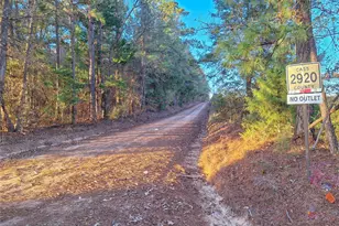 Tbd County Road 2920, Hughes Springs, TX 75656 - Photo 33