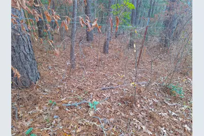 Tbd County Road 2920, Hughes Springs, TX 75656 - Photo 17