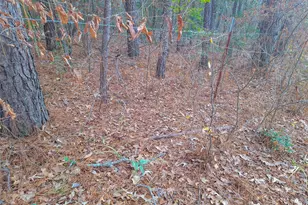 Tbd County Road 2920, Hughes Springs, TX 75656 - Photo 17