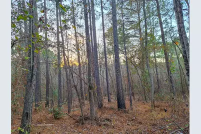 Tbd County Road 2920, Hughes Springs, TX 75656 - Photo 29