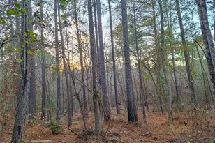 Tbd County Road 2920, Hughes Springs, TX 75656 - Photo 29