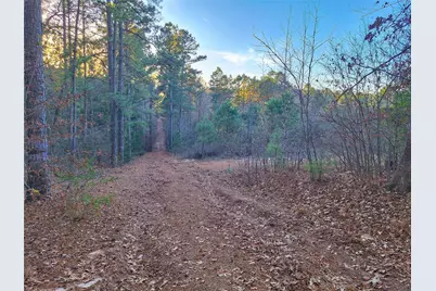 Tbd County Road 2920, Hughes Springs, TX 75656 - Photo 21