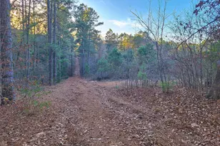 Tbd County Road 2920, Hughes Springs, TX 75656 - Photo 21