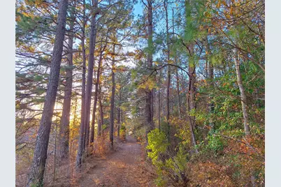 Tbd County Road 2920, Hughes Springs, TX 75656 - Photo 1