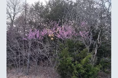 Tbd County Road 2256, Valley View, TX 76272 - Photo 17