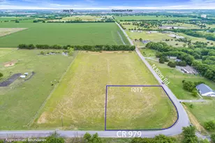 1017 Co Rd 979, Fate, TX 75189 - Photo 1