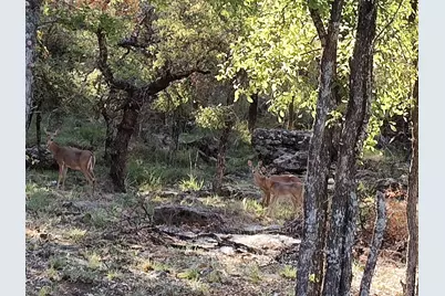 56 Brook Valley Drive, May, TX 76857 - Photo 9