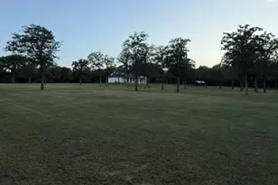 1032 Private Rd 7039, Lexington, TX 78947 - Photo 5