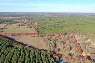 9791 Farm To Market 251 South S, Bivins, TX 75555 - Photo 35