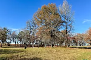 9791 Farm To Market 251 South S, Bivins, TX 75555 - Photo 39