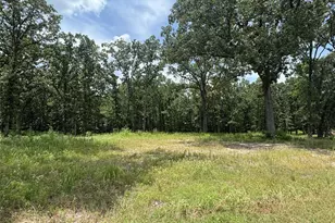 Tbd Pvt 5948, Yantis, TX 75497 - Photo 1