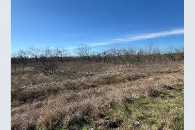 2.29Acres Boren Private Road, Wortham, TX 76693 - Photo 9