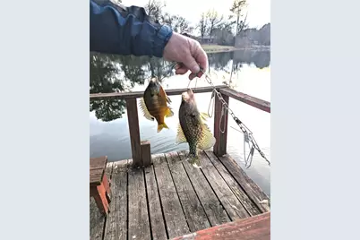 237 Lakeside Place Street, Mineola, TX 75773 - Photo 35