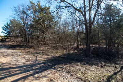 Lot 5 County Road 2905, Dodd City, TX 75438 - Photo 7